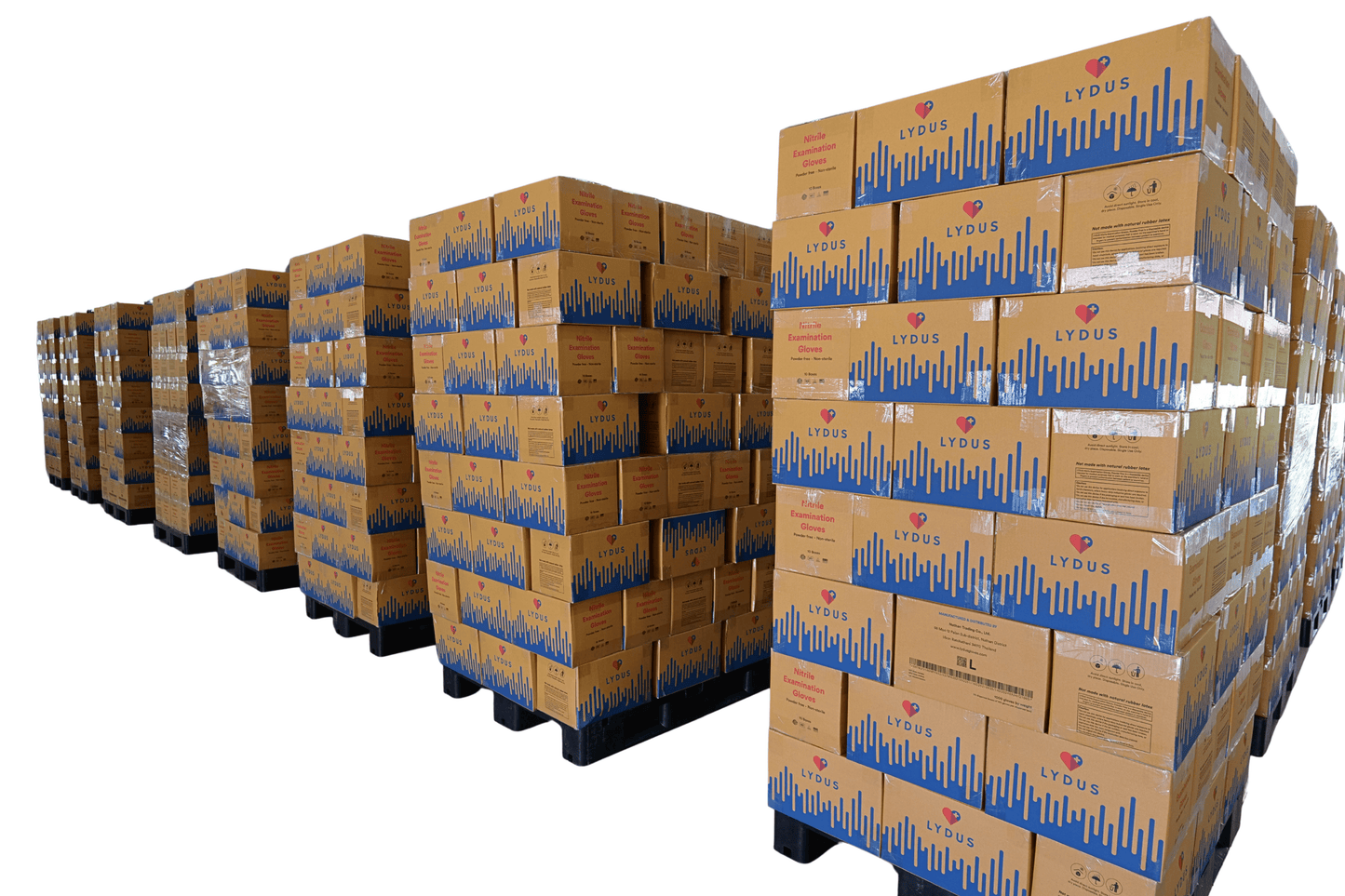 Lydus 5mil Blue Nitrile Examination Disposable Gloves (LBN5), case of 1000 (ASTM D6319, FDA 510k)